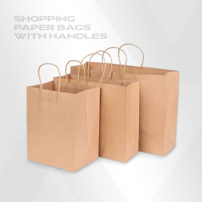 Shopping Paper Bags w/out handles